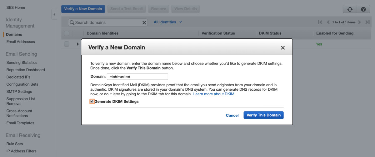 Amazon SES Verify a New Domain input