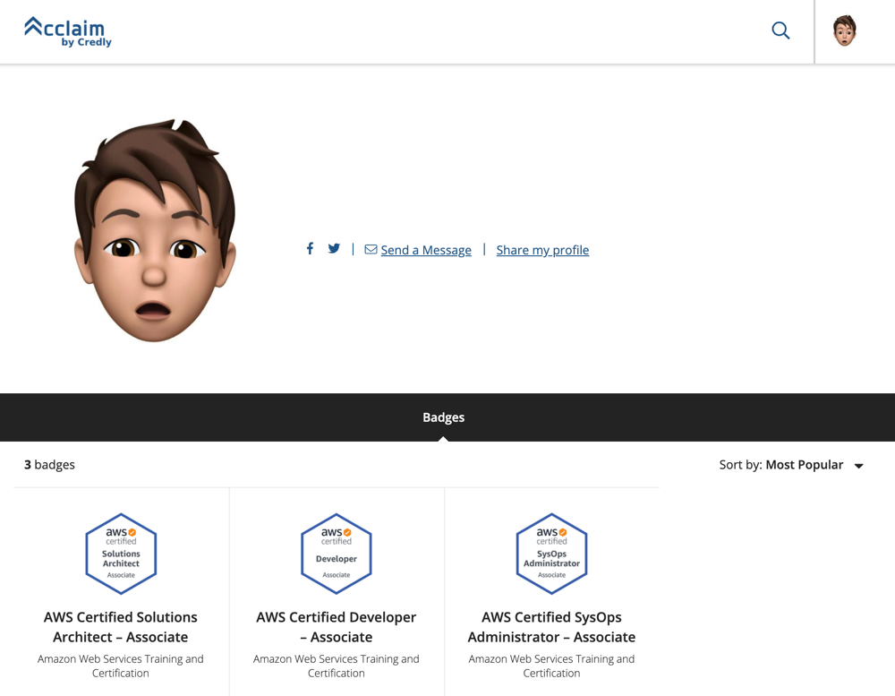 Acclaim Profile page