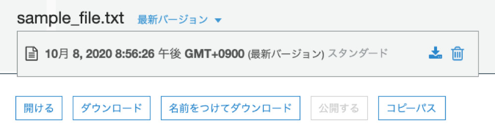 S3 versioned object 1