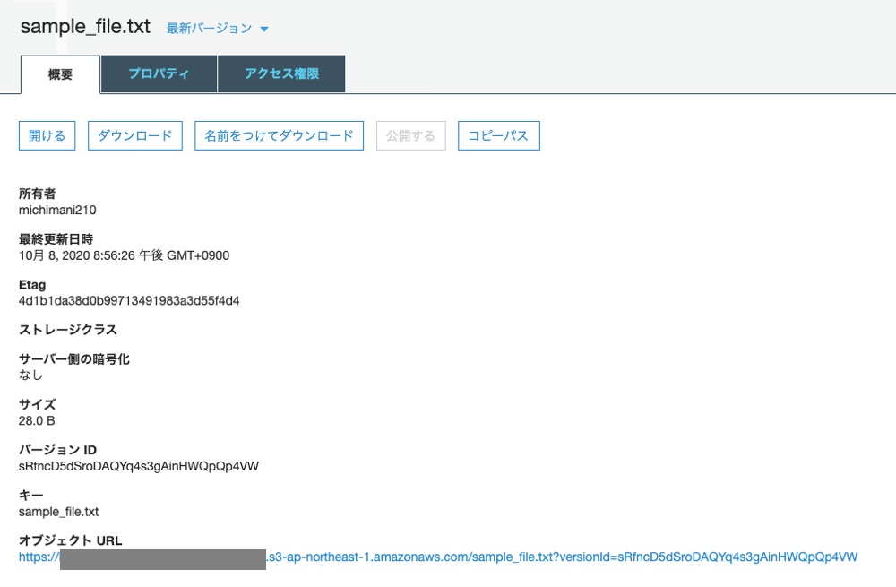 S3 versioned object 1